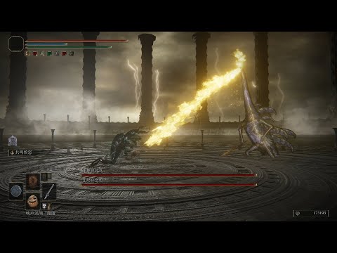 ELDEN RING Boss VS Boss “Death” Rite Bird vs many bosses 19