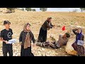 😱 Zolfa follows the trail of Setayesh's killer's accomplice_but Ramin gets stranded in the mountains