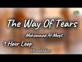 The Way Of Tears- Muhammad Al-Muqit (1 Hour Loop) 🌠