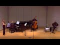 "Stardust" by Hoagy Carmichael - Violin and Jazz Piano (after Stephane Grapelli)
