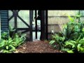 Jurassic World | Owen Escapes The Indominus Rex Paddock - clip