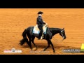 IMA PETITE CLASSIC Ridden By CHARLIE I COLE 2015 AQHA World Show FINALS Sr Western Riding L3