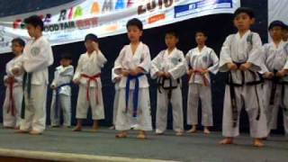 Taekwondo Demonstration