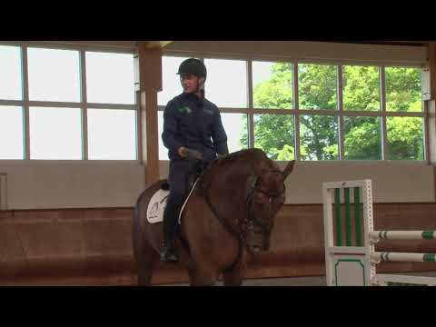 Jamie Gornall, International Showjumper