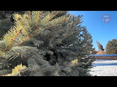 ❄️ Прогноз погоды на выходные в Приморье