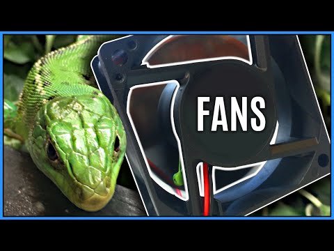 YouTube video about: How to insulate reptile tank?