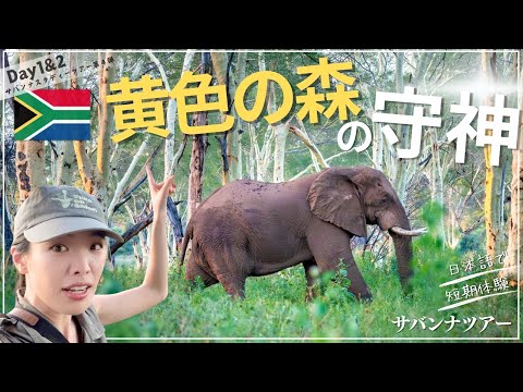 ジャングルキャンプ: ルーカス・コルダリスが携帯電話を手渡す