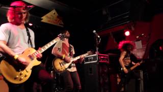 Birds of Paradise - Halfway to Avalon