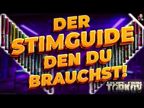 DER STIMGUIDE DEN DU BRAUCHST!  Escape From Tarkov | Guide | Tipps