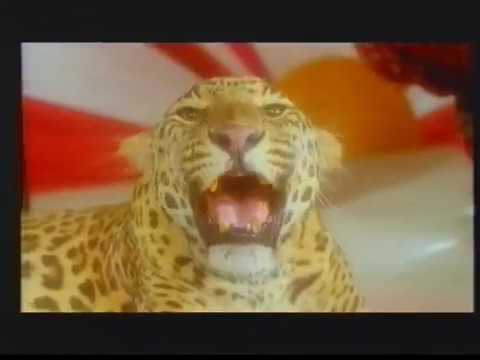 Alisha Chinoy  Made In India