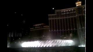 Denise vegas vaca 2010