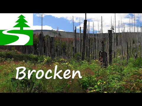 Der etwas andere Brockenaufstieg von Ilsenburg