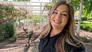 Planting Up the Chicken Coop: Flower Beds, Window Box & Container! 🌸🪴🌸 // Garden Answer