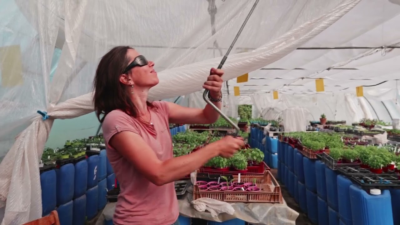 Les serres bioclimatiques, vous connaissez? Visitez la serre tunnel d'Emilie Barde dans le Vaucluse