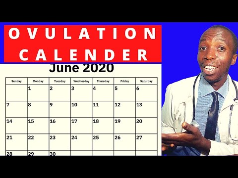 OVULATION CALENDAR I Calculating ovulation: the optimum time ...