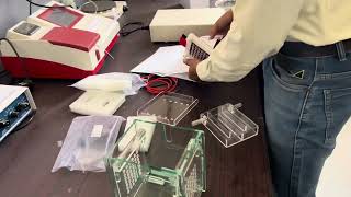 Vertical electrophoresis for protein purification - demonstration