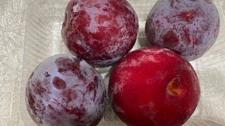 PLUM EATING CHALLENGE