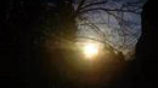 Morningwalk-Morgenspaziergang