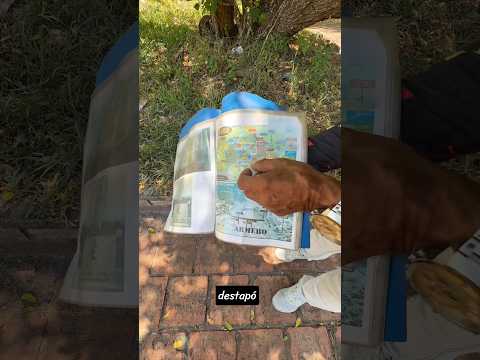 Se destapó el piso original del parque de Armero Tolima 😱 ¿como se le dice al gentilicio de Armero?