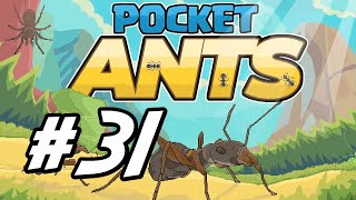 Pocket Ants - 31 -  Green Ants and a Stone 
