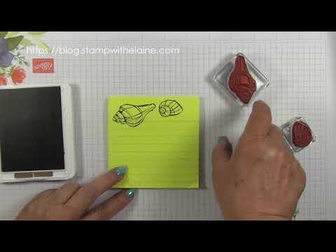 649 23 08 19 FF Seaside Notions   Smooshing Technique