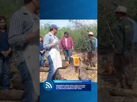 JUAN JAVIER BOGADO, CAPACITADOR DEL CURSO “USO Y MANTENIMIENTO DE MOTOSIERRAS” - 13/10/2026