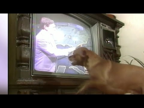 Everyone loved the late George Winterling — except one dog in Lake City