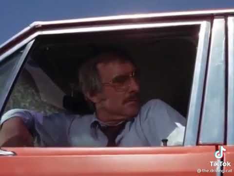 Duel... with Toonces!