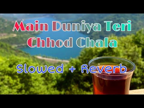 Main Duniya Teri Chod Chala | Slowed And Reverb | Bewafa Sanam | Sonu Nigam | Vikas Dhakad Official