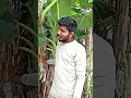 Ava En Maharani Ava En Devathai Ava En Usuru Ava En Kulasamy New Video Support Guys