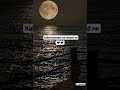 Kaho Poonam Na Chand Ne Gujarati Status