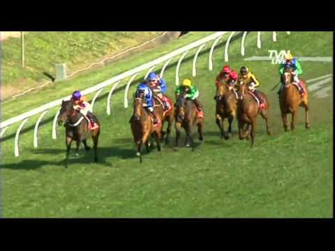 Sheraco Stakes  -MORE JOYOUS