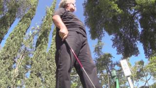 The Colossus Of Destiny: A Melvins Tale. Kickstarter Shorts - FORE!