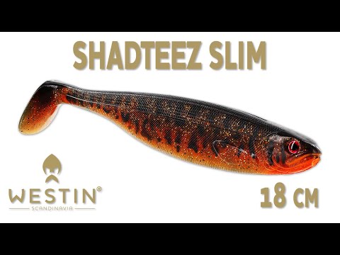 Westin Shadteez Slim V2 18cm Gold Rush Bulk