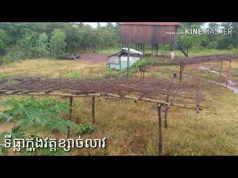 Friday 16/08/19 Evening