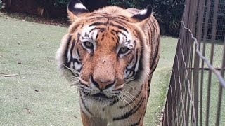 2022 here we go.........