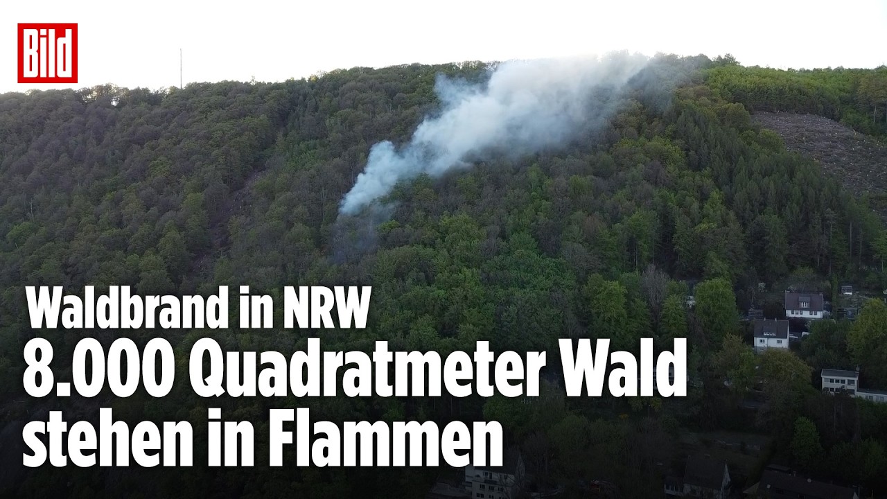 Großeinsatz in NRW: 8000 Quadratmeter Wald in Flammen