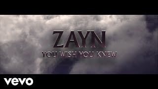 You Wish You Knew Lyrics Spanish Translation