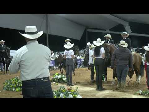 NARCISO DE LA FLORIDA, QUINTO PUESTO CABALLOS DE 48 A 72 MESES P3 FESTIVAL EQUINO MARINILLA  2026