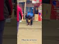 Mort De Rire