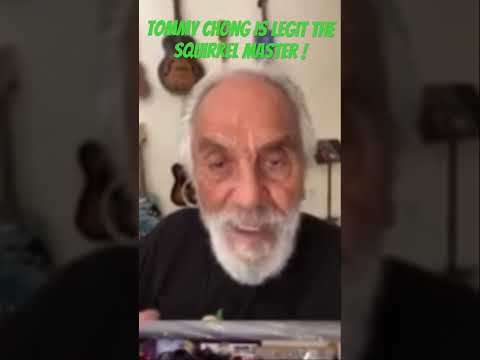 Tommy Chong Became the Legit Squirrel Master in Jail!