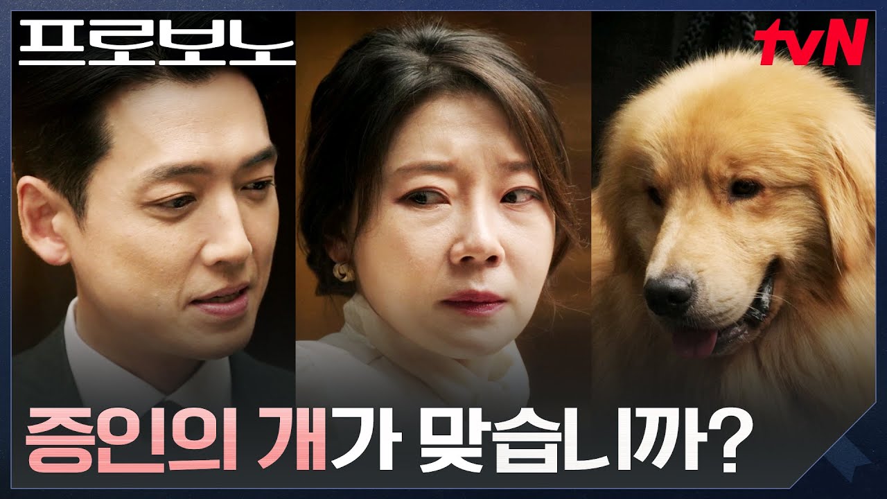 막혀버린 재판.. 정경호가 선택한 반전 방법 #프로보노 EP.2 | tvN 251207 방송