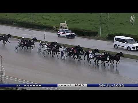 Aversa trotto 26 Novembre 2022 - 2° Corsa