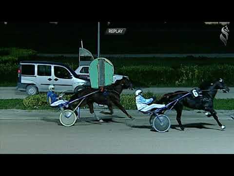 Aversa trotto 28 Ottobre 2020 - 6° Corsa