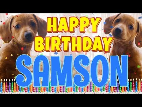 Happy Birthday Samson! ( Funny Talking Dogs ) What Is Free On My Birthday
