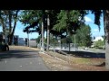 Wiggums Hollow Park - Everett, Washington