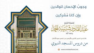 صورة وجوبُ الإحسان للوالدين وإن كانا مُشركين | لفضيلة الشيخ عبدالقادر شيبة الحمد رحمه الله373