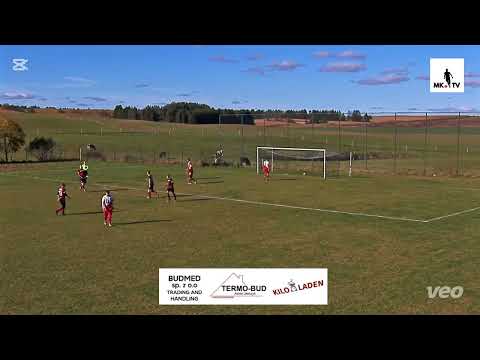 Bramki z meczu  KS  Dzikowo  - Grom  Szwecja  0:3.18.10.2025 r.