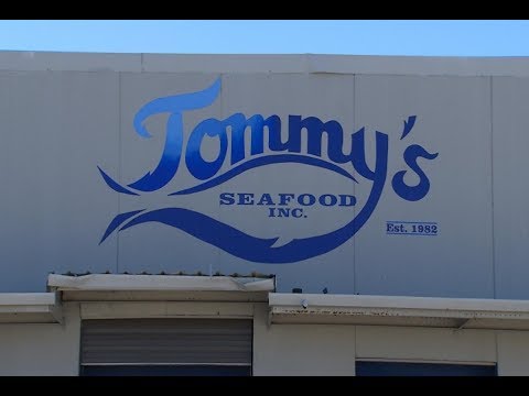 download lagu mp3 mp4 Louisiana Seafood Online, download lagu Louisiana Seafood Online gratis, unduh video klip Louisiana Seafood Online