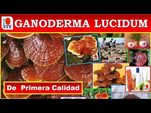KING OF HERBS | DXN GANODERMA LUCIDUM | REISHI | TRADITIONAL CHINESE MEDICINE